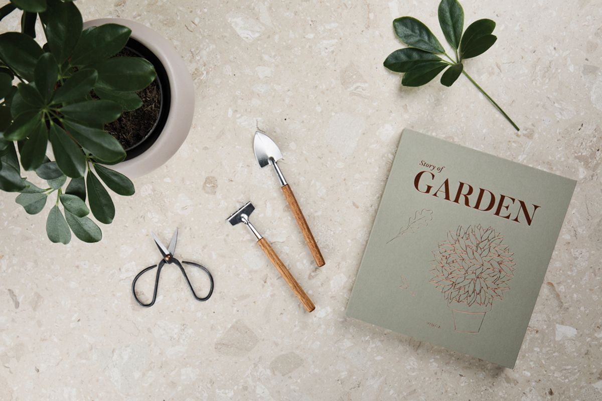 Vinga Story Of Garden