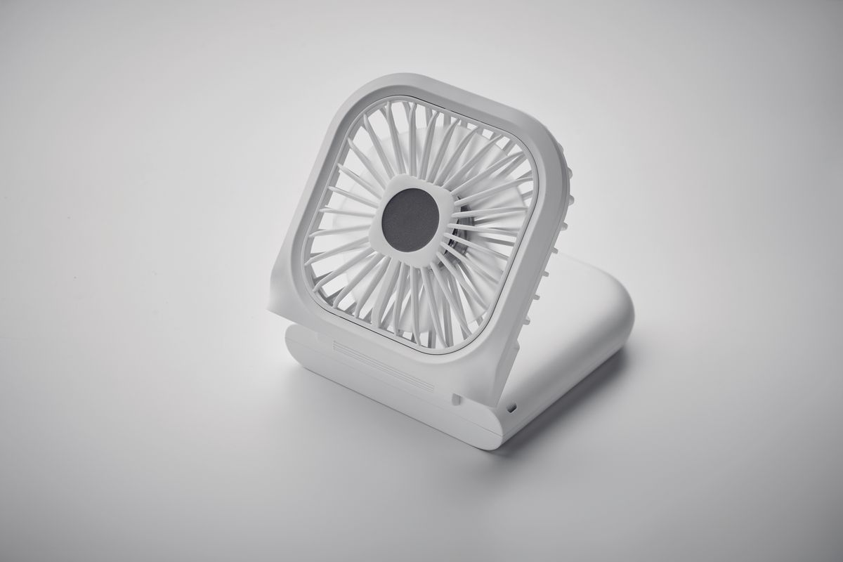 Standfan