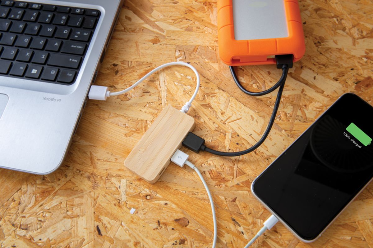 Bamboo Hub With Type-C