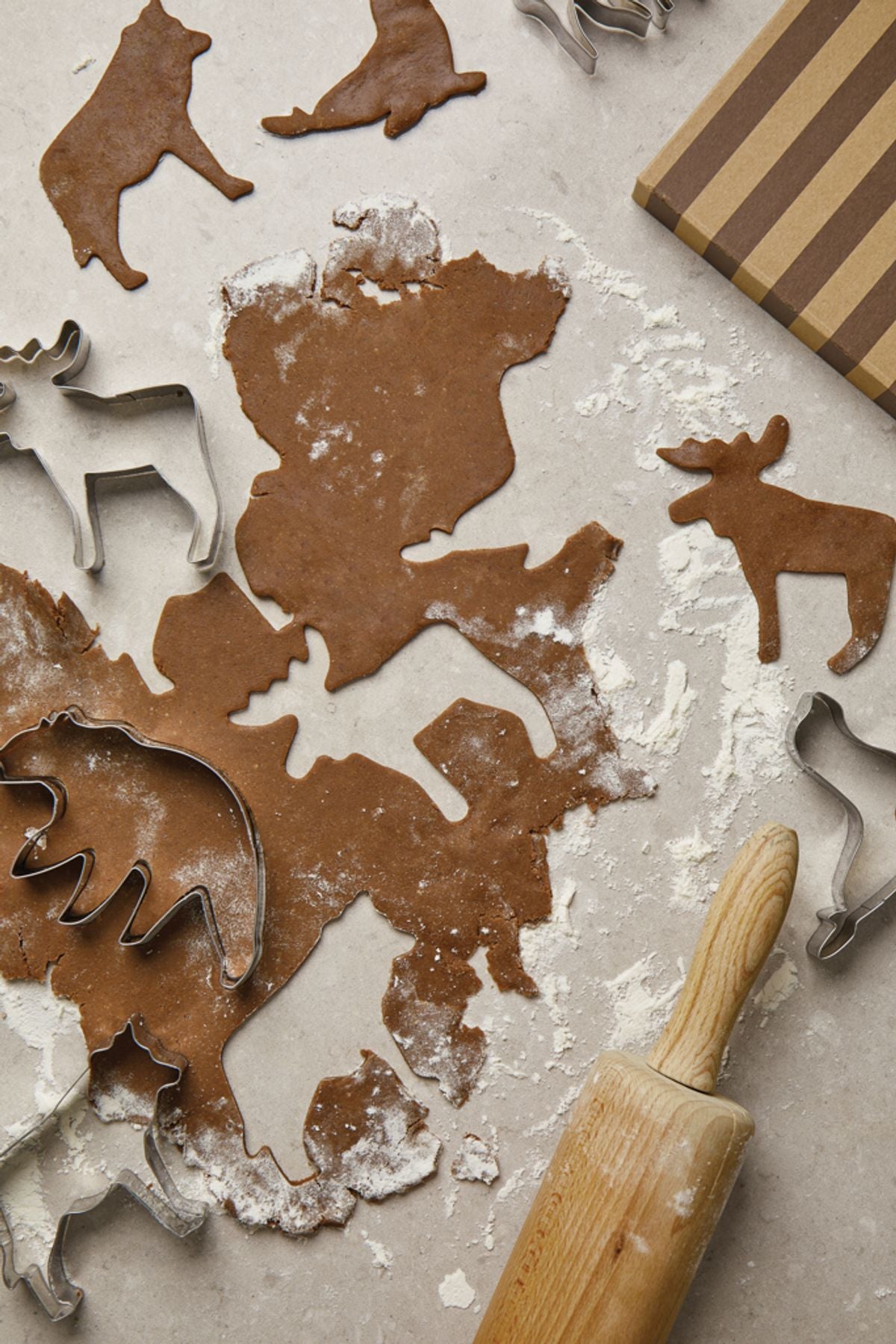 Vinga Nordic Big 5 Cookie Cutter 5-Piece Set