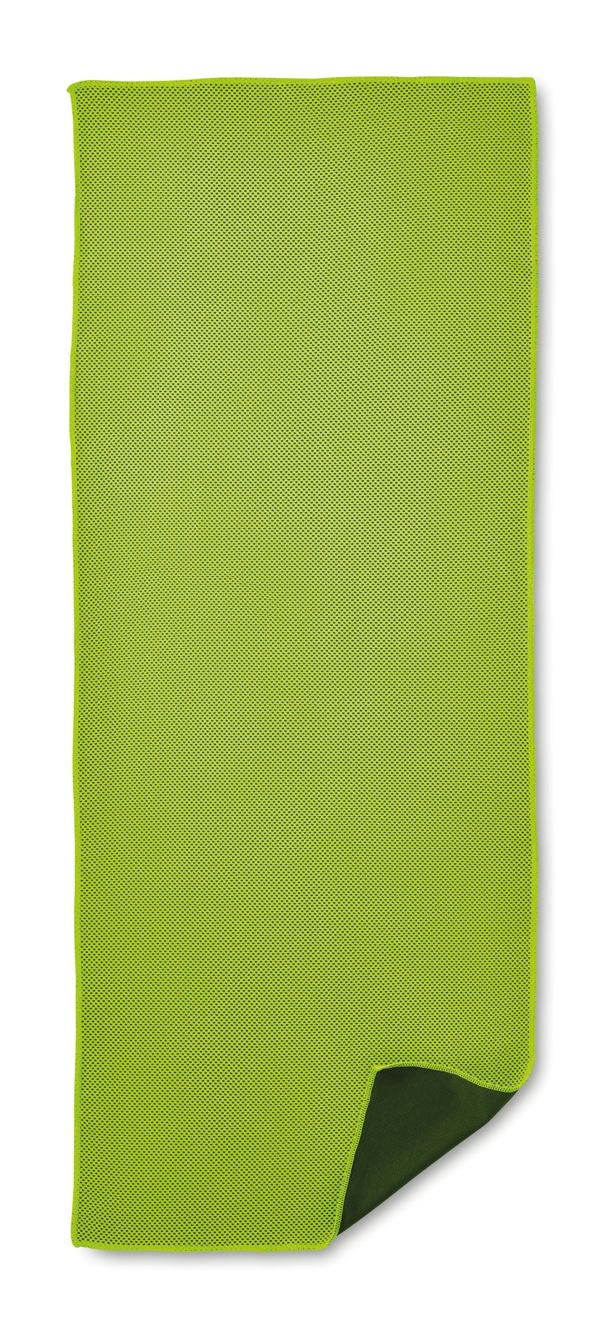Taoru
