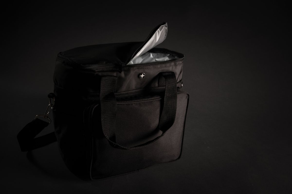 Swiss Peak Cooler Bag