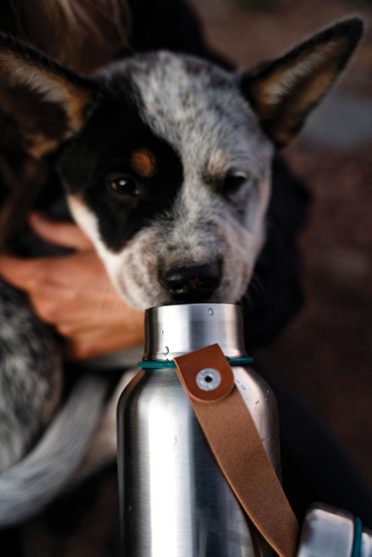 Black+Blum Insulated Water Bottle Large