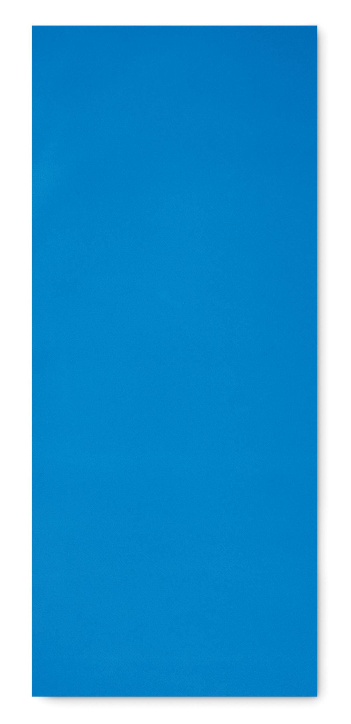Yogi
