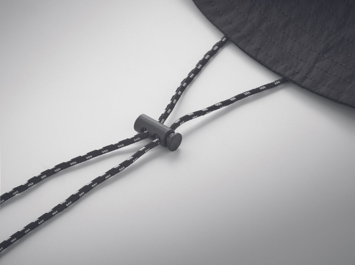 Lanin