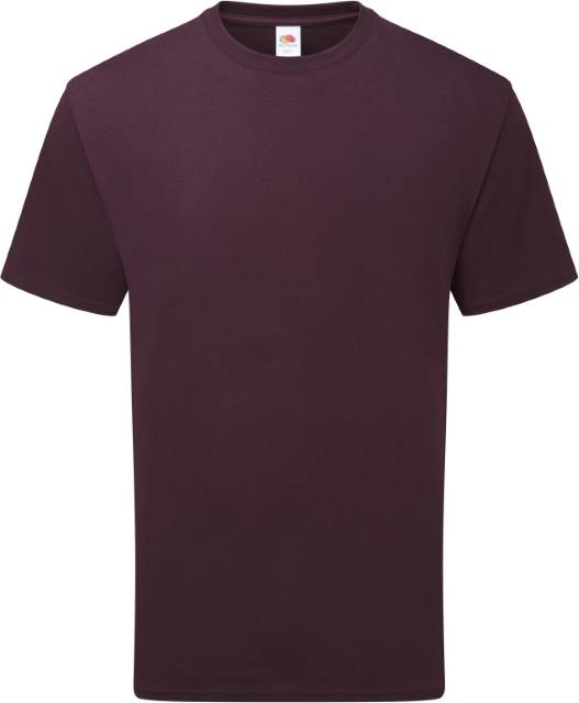 Pure Cotton T