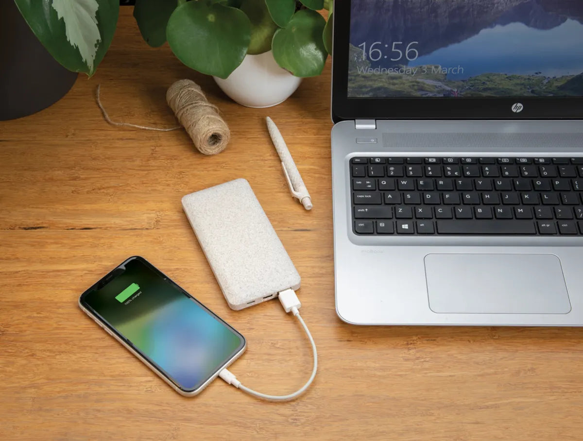 10.000 Mah Wheat Straw Powerbank