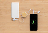 RCS recycled plastic Ontario 4-in-1 retractable cable