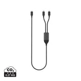 Terra 100W RCS Dual USB C output cable