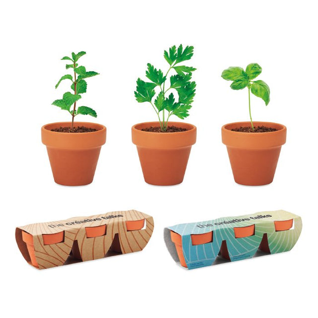 YC6145 - Set of three Ø5 cm clay terracotta pots with your choice seeds in your own design packaging