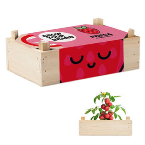 YC6498 - Wooden crate with your choice of seeds to create a unique growing kit