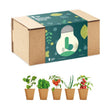 YC6499 - Grow it yourself box with 5 biodegradable pots