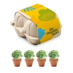 YC6886 - Growing kit: set of 4 terracotta pots in egg carton tray