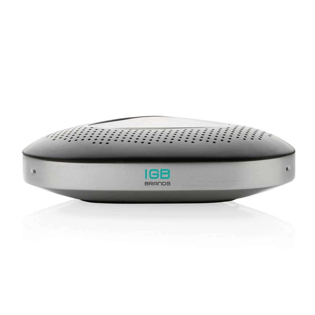 Conference Call Speaker