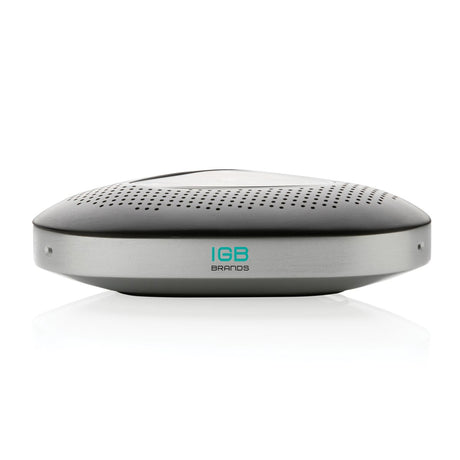 Conference Call Speaker