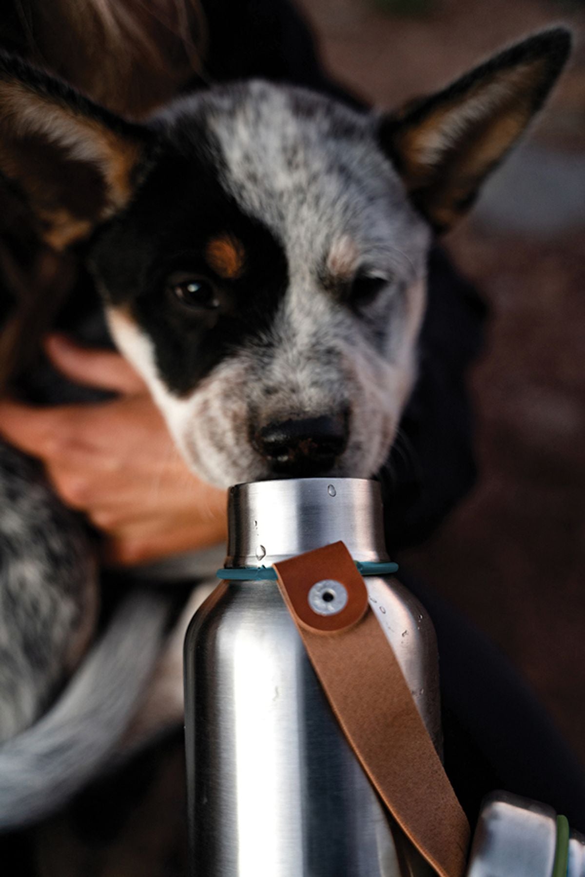 Black+Blum Insulated Water Bottle Small