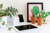 Ontario Rcs Recycled Plastic 10W Wireless Charger