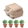 Cress