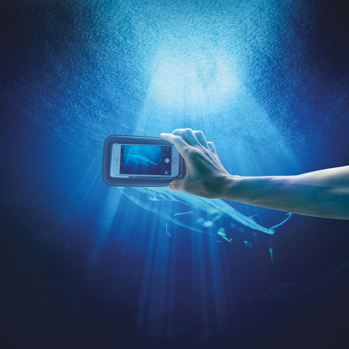 Ipx8 Waterproof Floating Phone Pouch