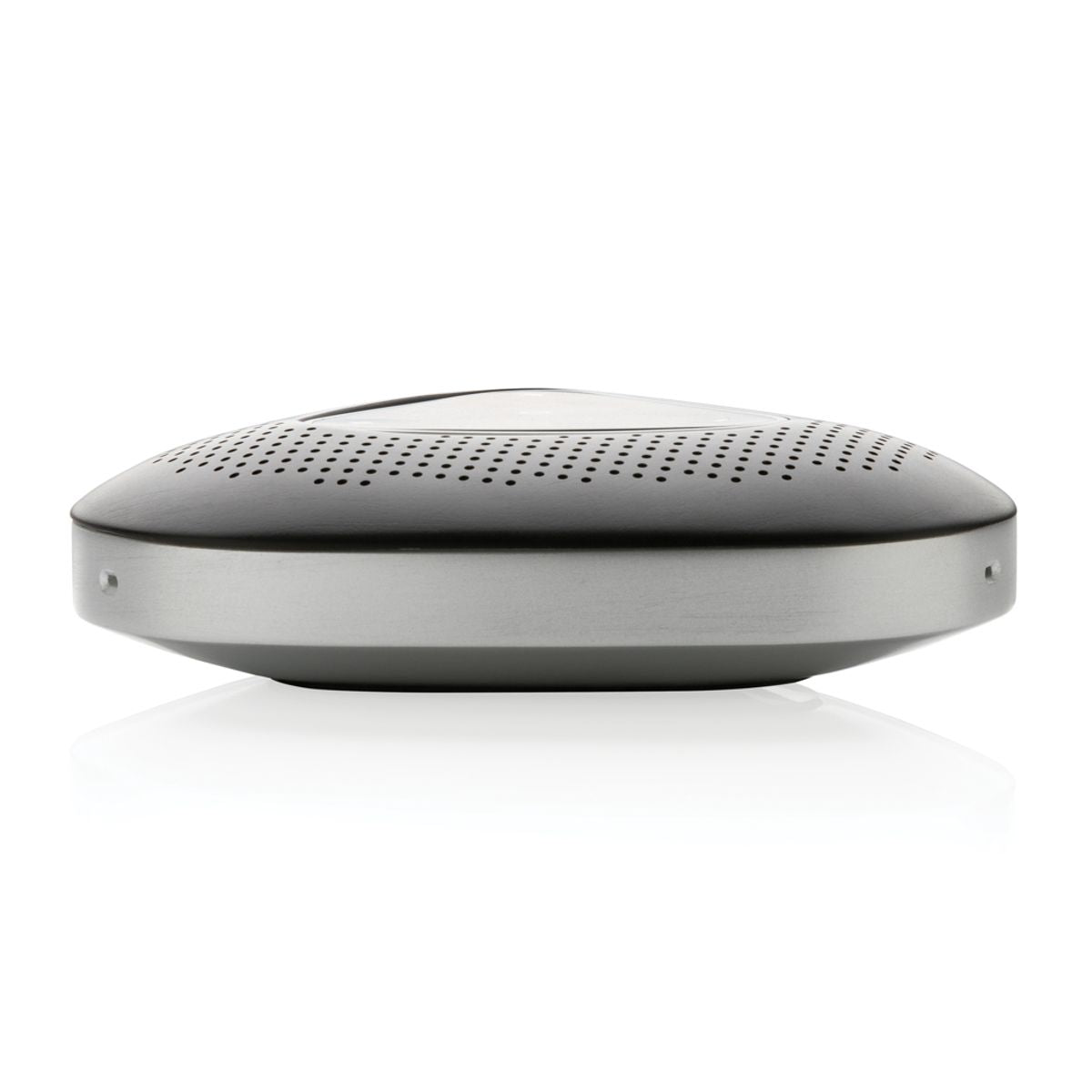 Conference Call Speaker