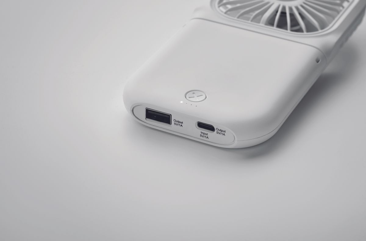 Standfan