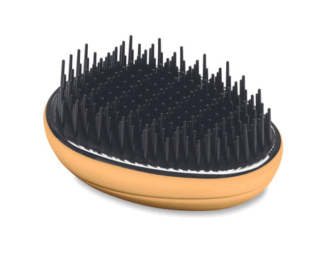 Brush