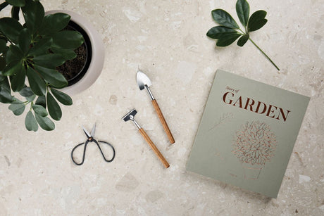 Vinga Story Of Garden