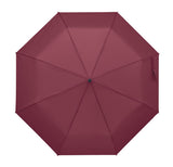 Rayna Fold
