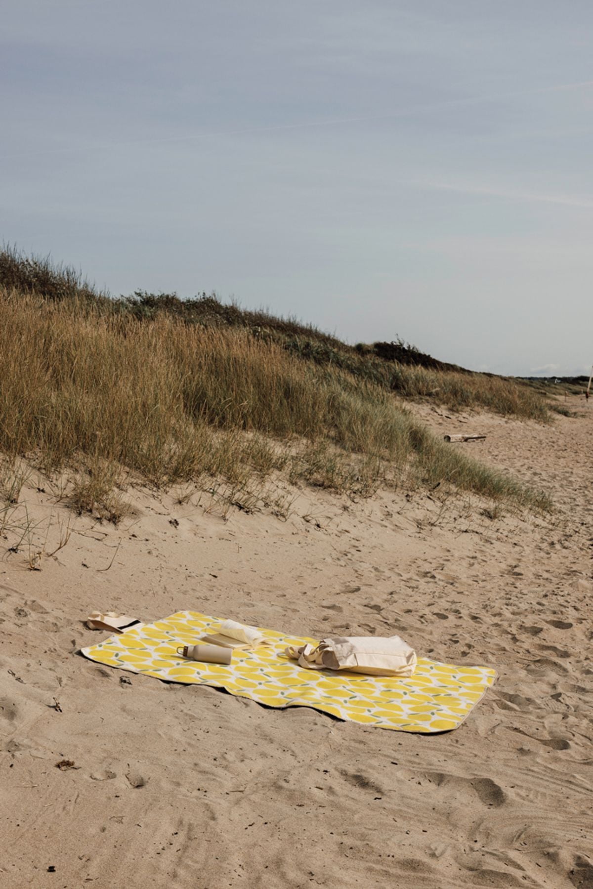 Vinga Arwe Grs Picnic Blanket