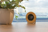 Utah Rcs Rplastic And Bamboo Lcd Desk Clock