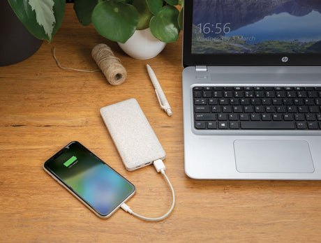 10.000 Mah Wheat Straw Powerbank