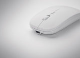 Curvy C