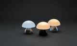 Luming Rcs Recycled Plastic Usb Re-Chargeable Table Lamp