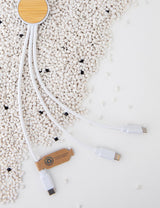 Rcs Recycled Plastic Ontario 6-In-1 Cable