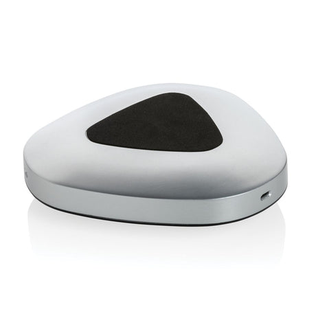 Conference Call Speaker