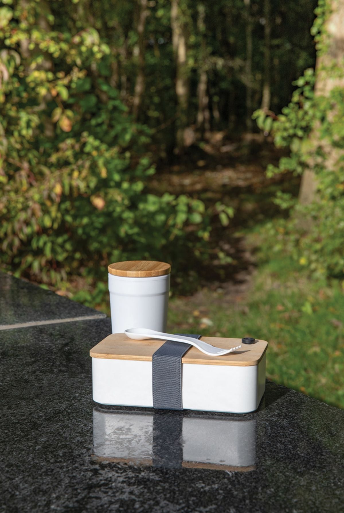 Rcs Rpp Lunchbox With Bamboo Lid