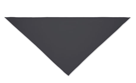 Bandana Bandido