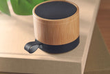 Recar Bamboo
