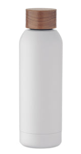 Geiser