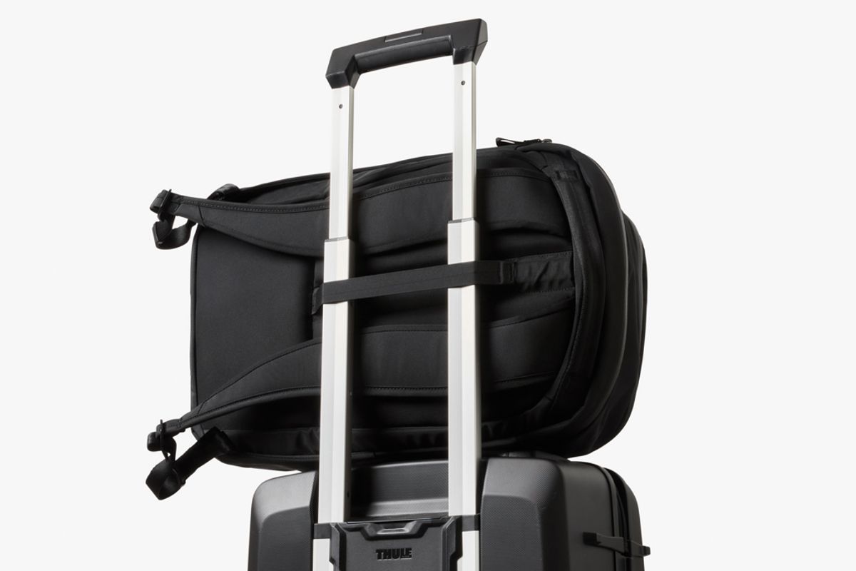 Bellroy Transit Workpack 20L