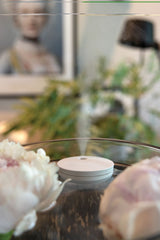 Breevia Rcs Rplasic Re-Chargeable Floating Humidifier