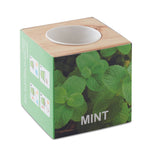 Menta