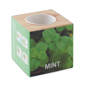 Menta