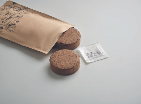 Fresa Kit