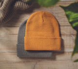 Beanix