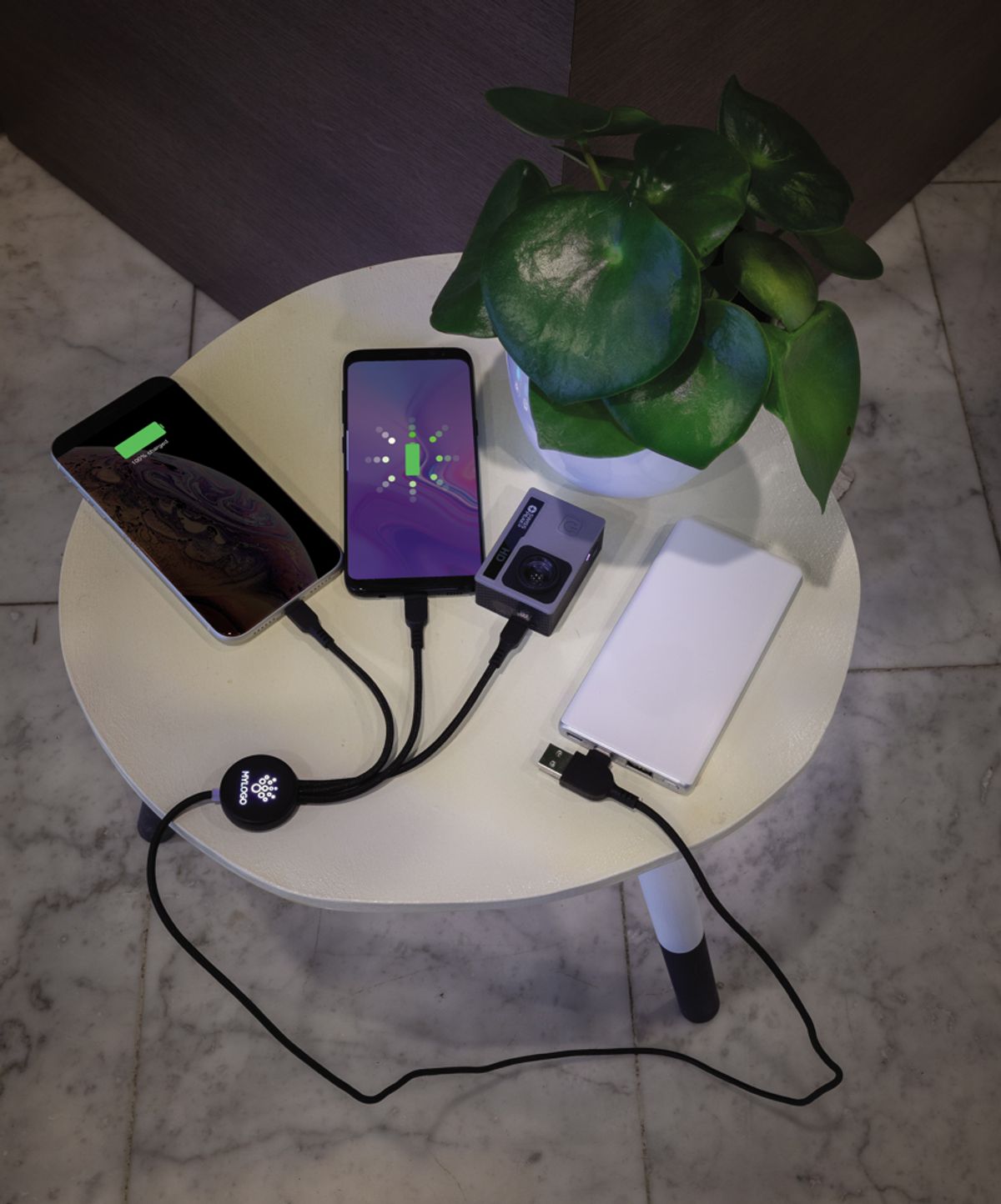 Light Up Logo 6-In-1 Cable