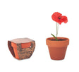 Red Poppy