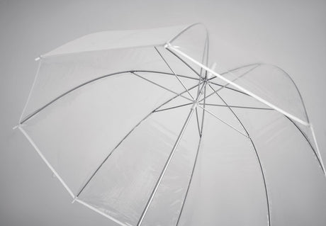 Gota