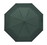 Rayna Fold