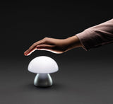 Luming Rcs Recycled Plastic Usb Re-Chargeable Table Lamp
